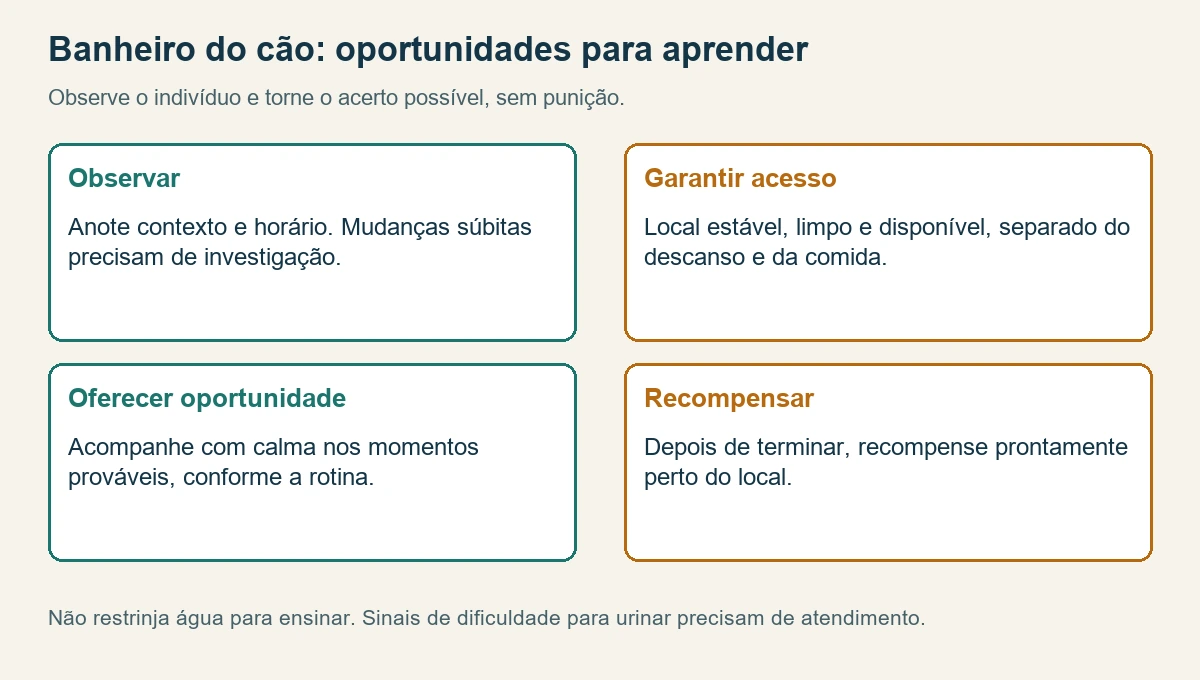 Ciclo de ensino do banheiro: observar, oferecer oportunidade, recompensar o acerto e revisar o manejo