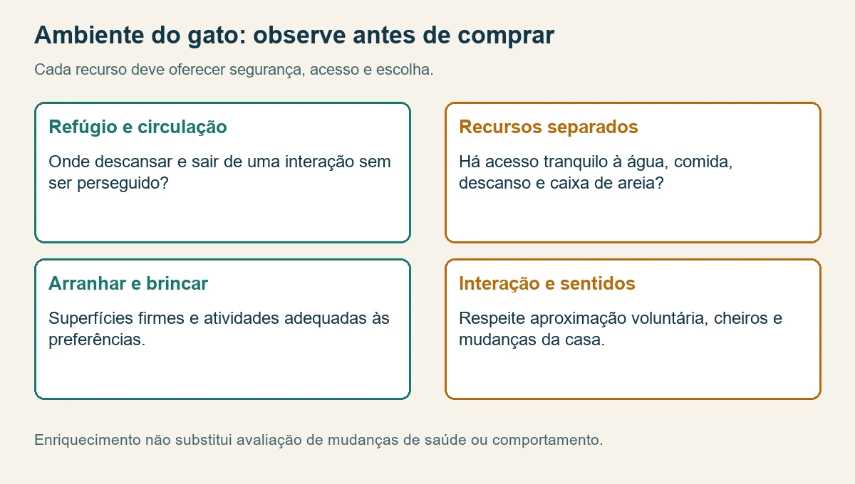 Mapa de observação do ambiente felino: refúgio, circulação, recursos, arranhadores e brincadeira